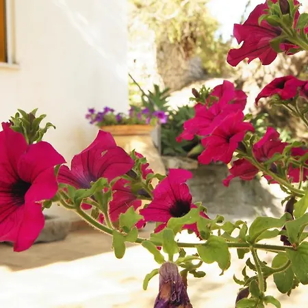 Villaggio Placido Casa vacanze *