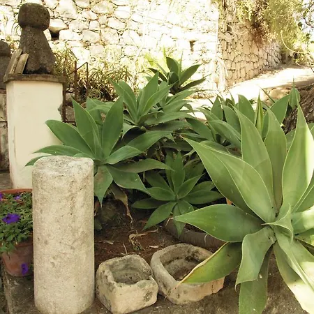 Casa vacanze Villaggio Placido *