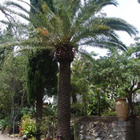 Casa vacanze Villaggio Placido *
